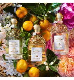 Aqua Allegoria Harvest - Mandarine Basilic - Eau de Toilette Aqua Allegoria Harvest - Mandarine Basilic - Eau de Toilette